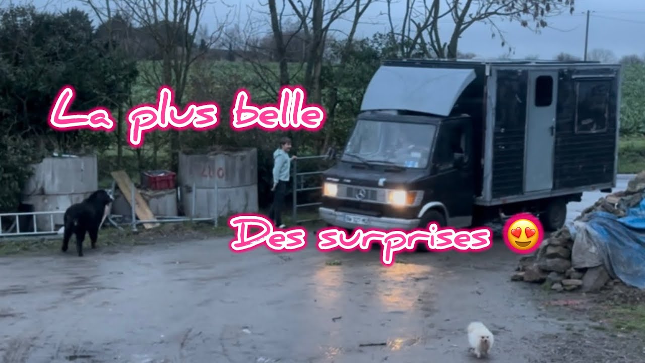 Ma tribu de nouveau au complet ❤️