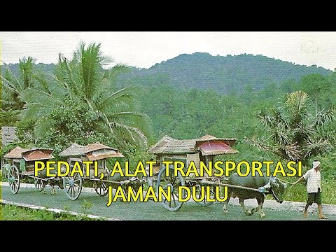 Video: Pedati ditarik kuda - peninggalan masa lalu?