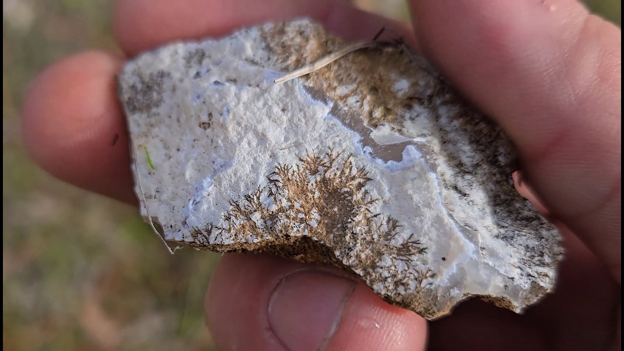 ОРЕГОНСКИЕ КАМНИ! Поиск камней в Орегоне | Кристаллы кварца и агаты
