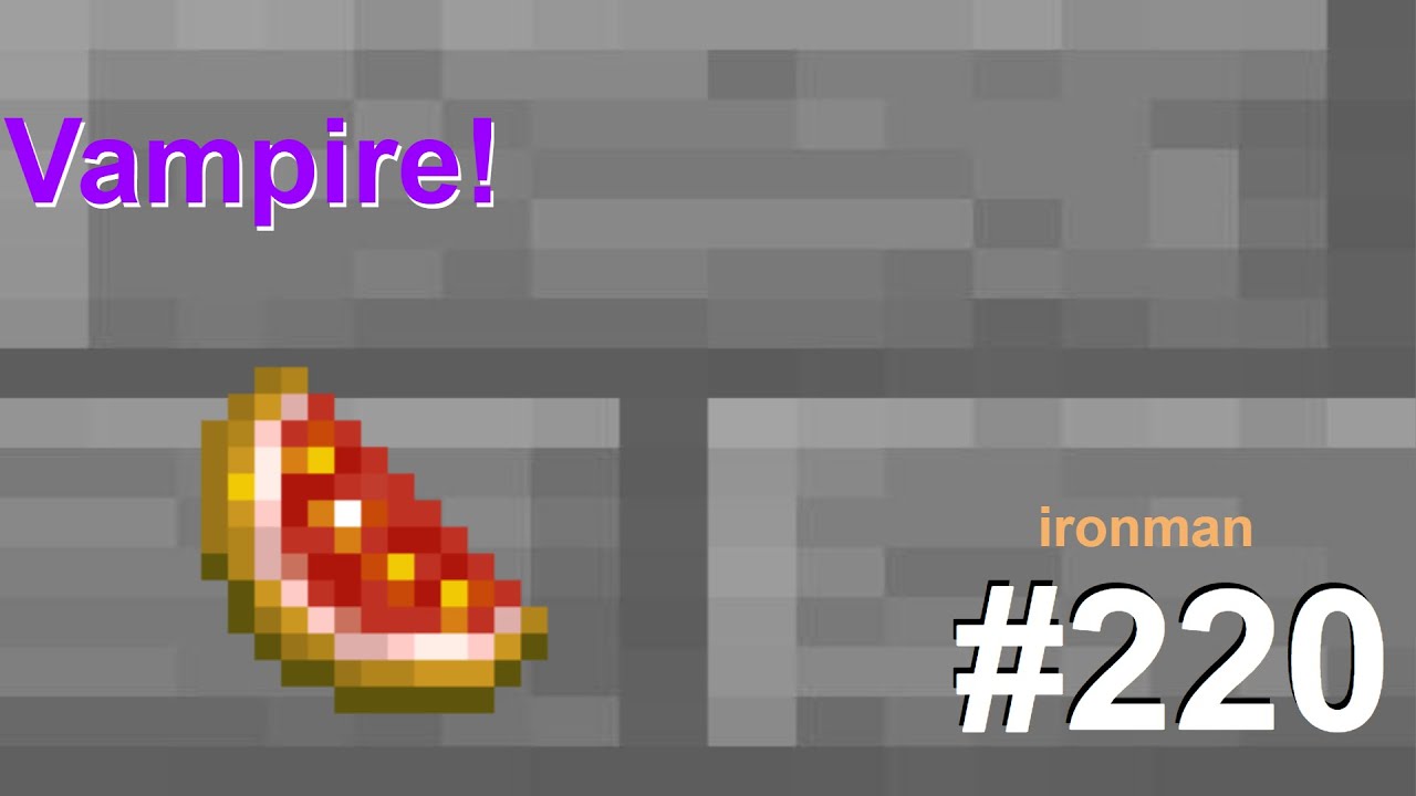 1日1時間Skyblockのironmanモードで遊ぶ【part220:Vampire!】