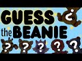 Are you a beanie boo expert 