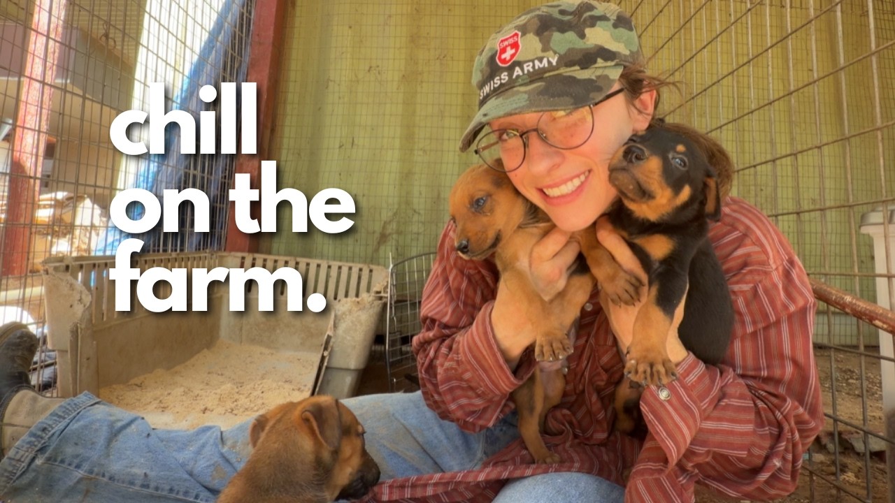 wholesome farm vibes (chill commentary & ambient animal noises): video thumbnail