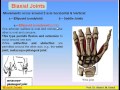 07 - Joints -2-  Anatomy Intro Dr Ahmed Kamal شرح اناتومي للدكتور احمد كمال