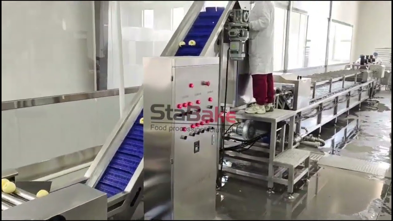 How to make dried apple chips? Stabake Apple peeling slicing washing line