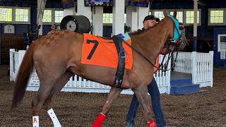 Laurel Community Spotlight: Laurel Park Sets the Stage for Preakness with Preview Event