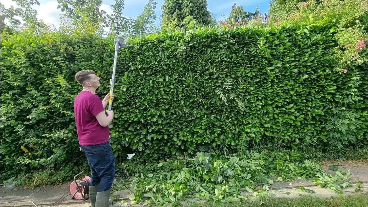 Titan long reach hedge trimmer review YouTube