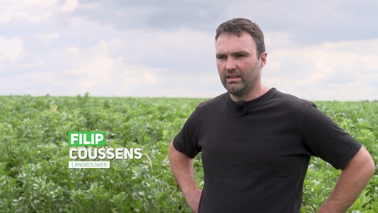 Teelt van eiwithoudende gewassen