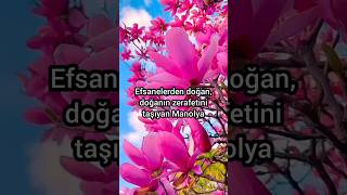 Manolya Mitolojik Hikayesi Sembolik Anlamlari