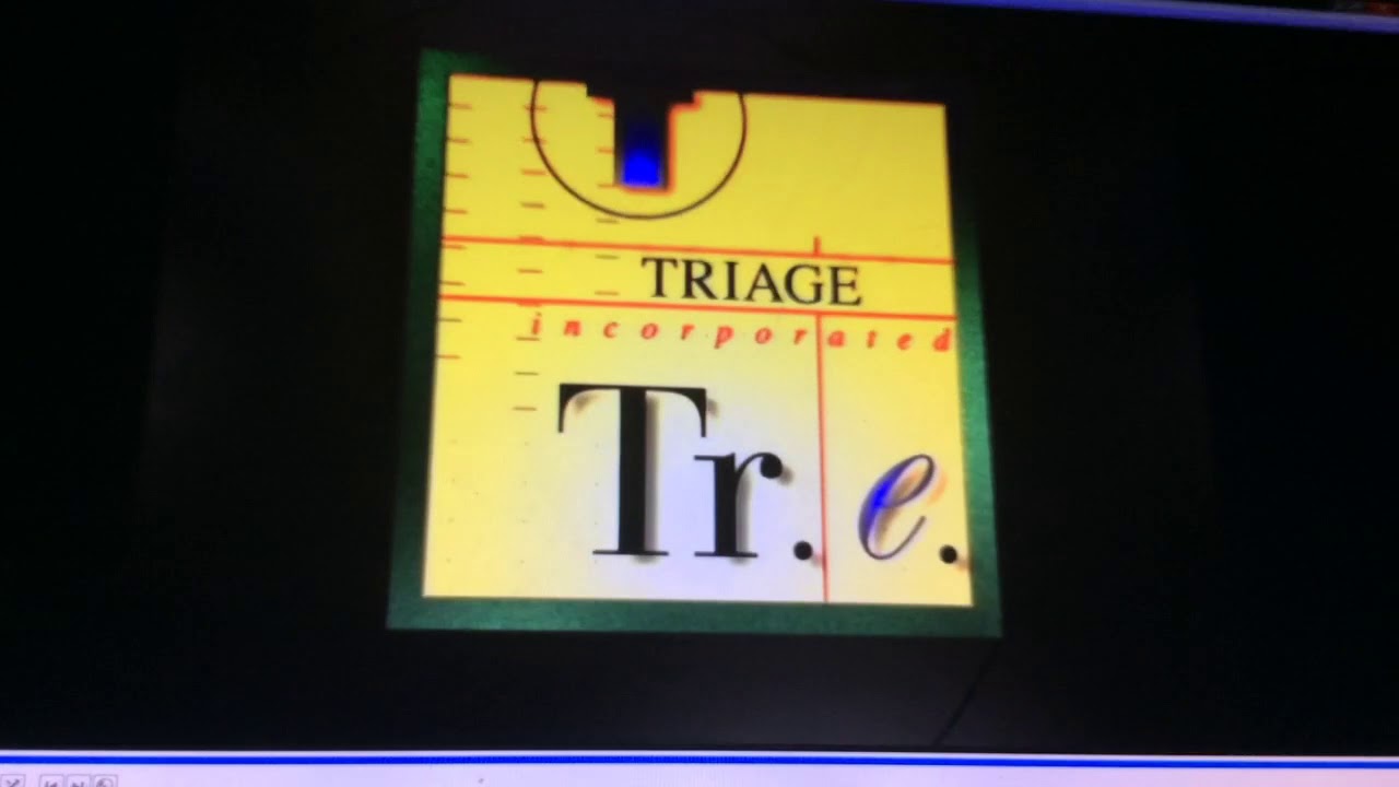 Triage Incorporated and DreamWorks LLC (2000)