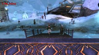 Guild Wars 2 Beta, Graphics While Playing on Linux