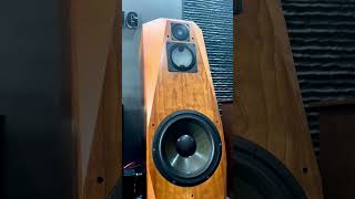 Avalon Eidolon loa hi-end huyền thoại đến từ Avalon ,mang lại âm trung tự nhiên và âm cao,chi tiết,