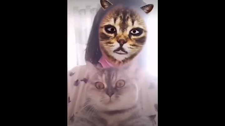 Watch the video about Cute Cat Short Video🐈 #cutecat #funny #trend #pets #cuteanimal #youtubeshorts #viralshort #catshort