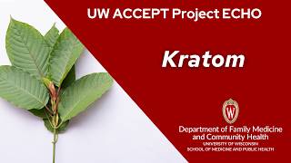 Kratom (Mitragyna speciosa)