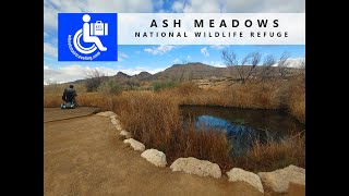Ash Meadows National Wildlife Refuge + Wheelchair Accessible Hiking Trails