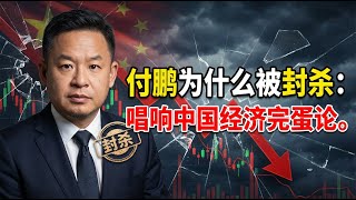 付鹏为什么被封杀：唱响中国经济完蛋论