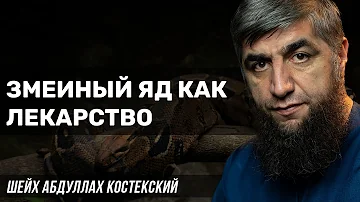 Змеиный яд как лекарство