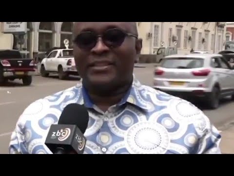 The Bootlicking Jenfan Muswere Attacks Job Sikhala