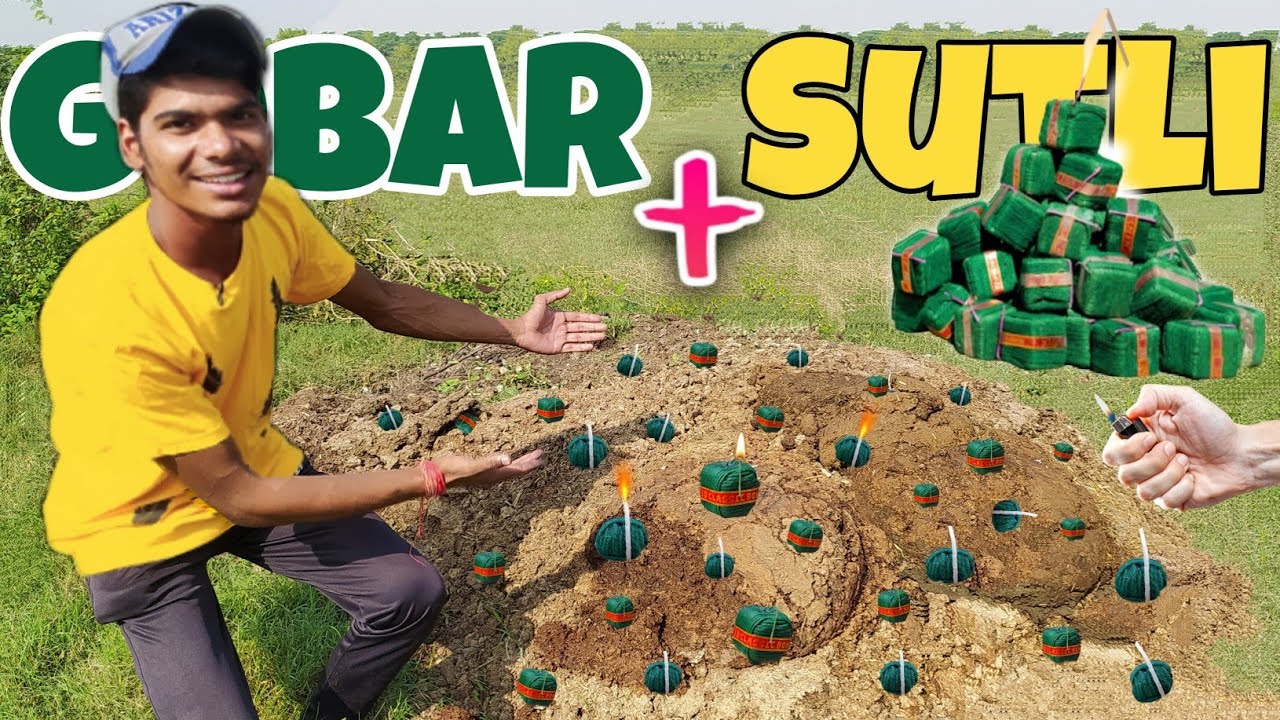 100 SUTLI vs GOBAR - गोबर मे लगा दिये सुतली बम l 