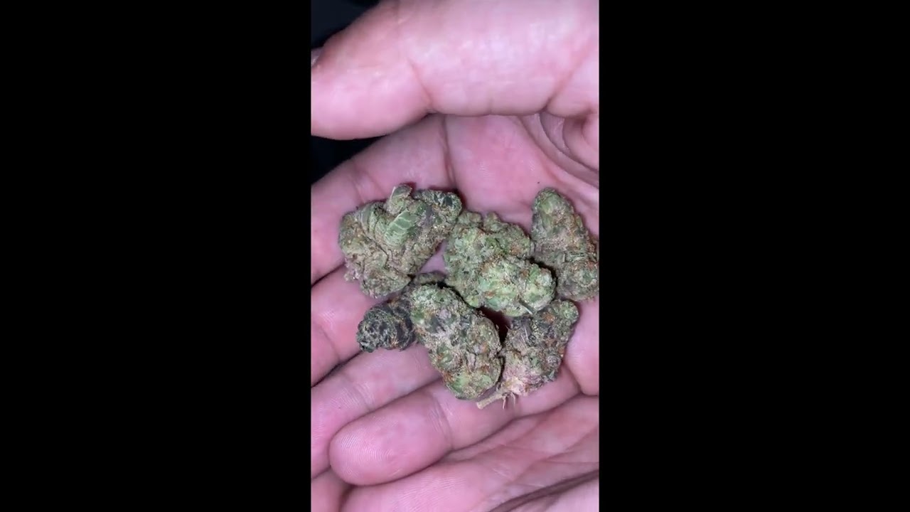 Cresco Apple Stacks Review