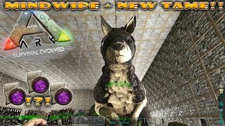HOW TO GET LOADS OF ENGRAM POINTS!!! Ark Survival Evolved #47