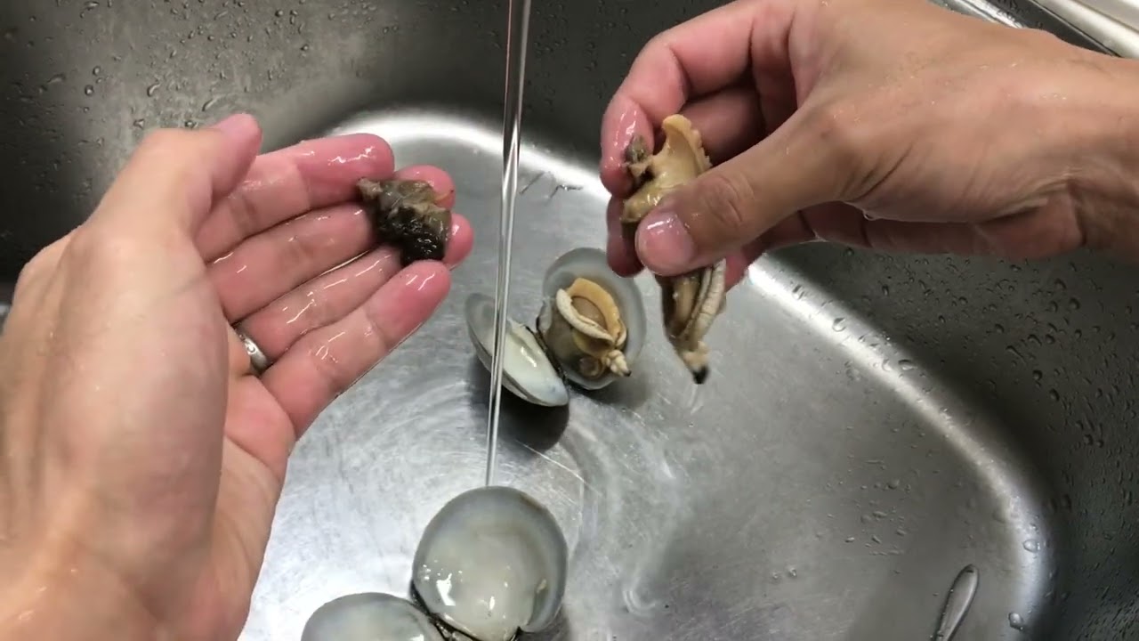 カガミガイ 砂袋・砂肝の取り方 - YouTube
