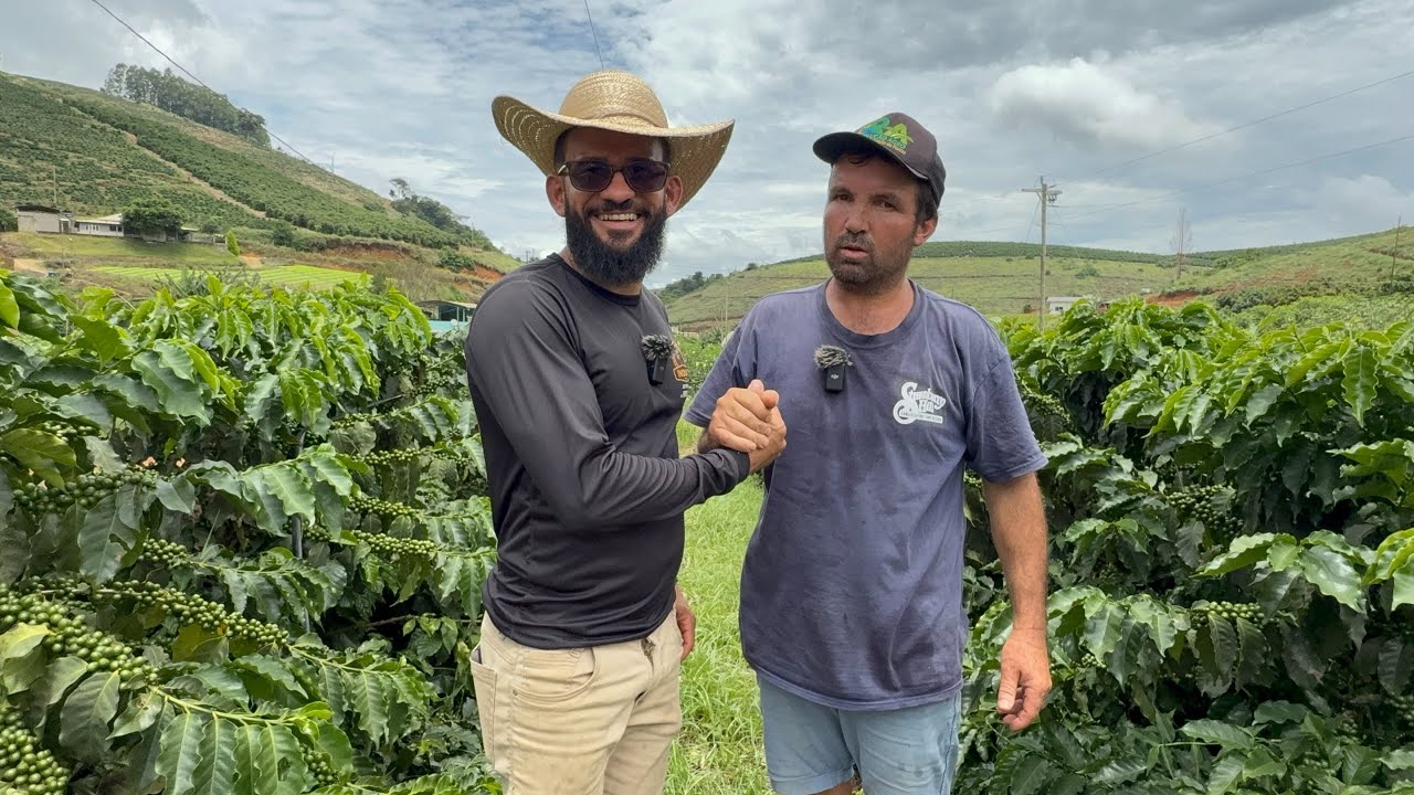 DETALHE SIMPLES QUE AUMENTOU MUITO MINHA PRODUÇÃO DE CAFÉ 