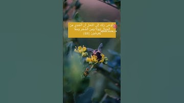 سورة النحل #دعاء #قرآن #ذكر #قران_كريم #نحل