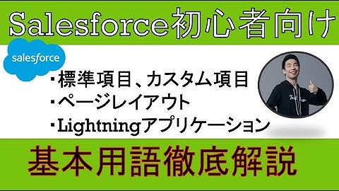【標準項目、ページレイアウト、Lightningアプリケーションビルダー】Salesforce基本用語徹底解説【初心者向け】