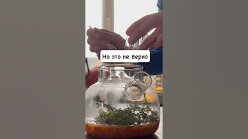 Можно ли добавлять МЕД В ГОРЯЧИЙ ЧАЙ #Shorts