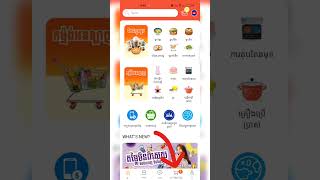 របបបញជរទញទនញពបរទសចន តមApp Loda សវជយទញ