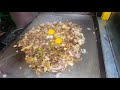 Sisig with egg | Filipino Street Food