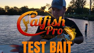 Catfish Pro Bait Test PT.1