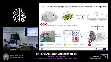 Goebel Rainer - Building a biologically inspired large-scale architecture of visuo-motor (...)