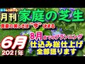 6月の芝生の手入れ 月刊『家庭の芝生』６月号 今しかデキナイ真夏の準備　芝活2021