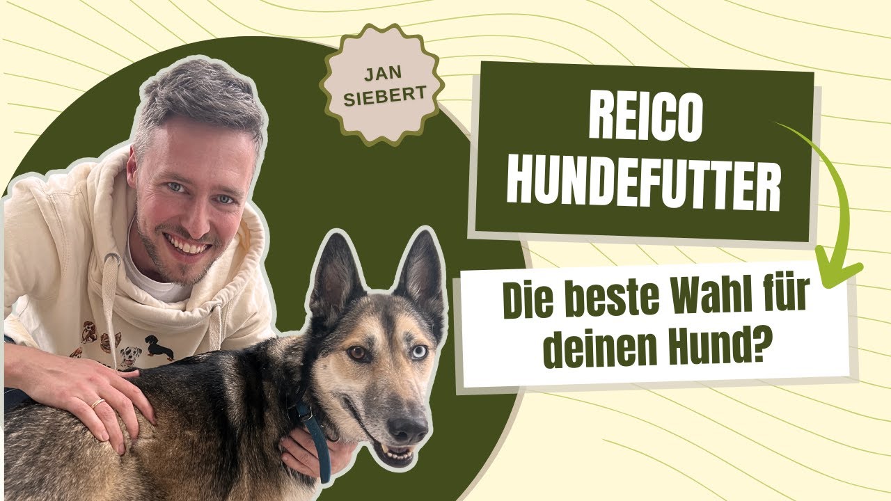 hausapotheke aufbewahrung Medikamenten Aufbewahrung, Medizinbox, Hausapotheke Box, Apothekenbox, –  Zedelmaier Shop