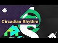 Kurorak  circadian rhythm