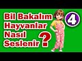 Bil Bakalım Hayvanlar Nasıl Seslenir? - 4 #hayvansesleri #sevimlihayvanlar #çocukhikayeleri