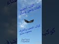محمود سليم القلب الحديد كوكب الصعيد أنا القلب الحديد اللي يفوت في الحديد اعرفكم بنفسي محمود من ال