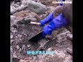 砂金はこんなんで採れる　shorts編　gold dust