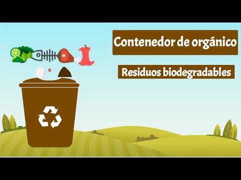 Eres capaz de distinguir todos los contenedores de reciclaje?