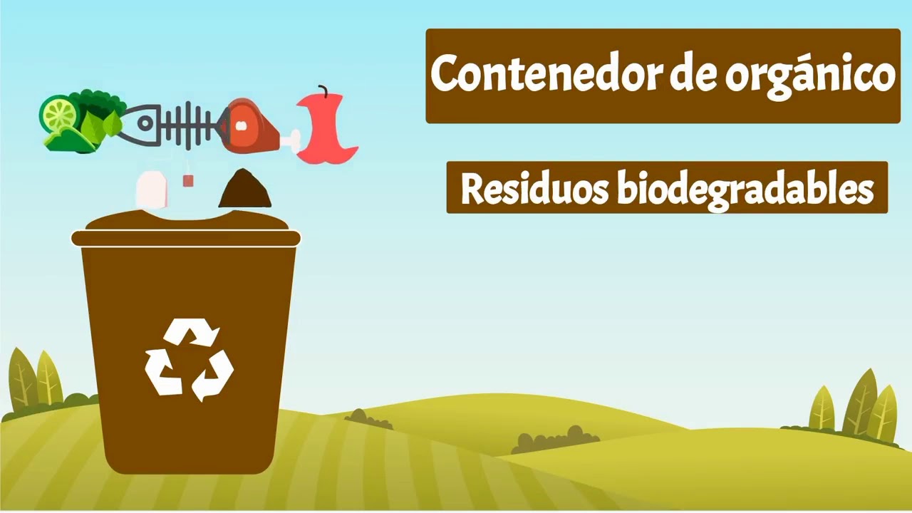 Tipos de contenedores de reciclaje - Fundación Aquae