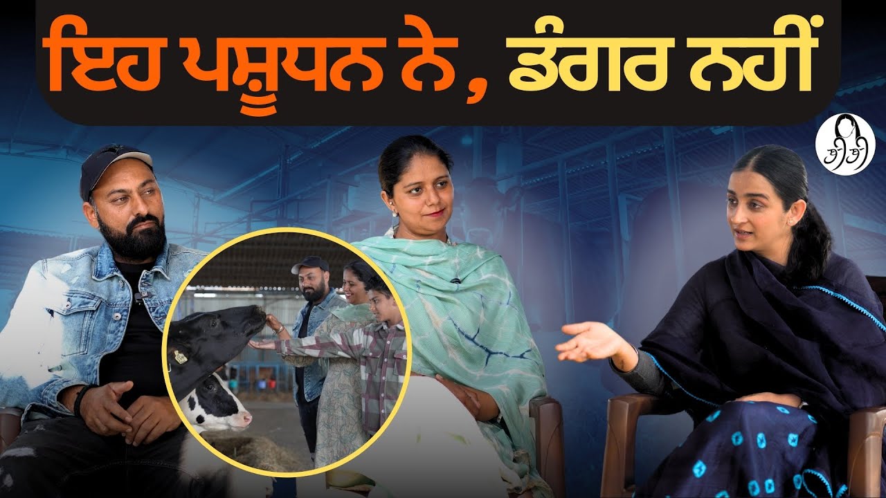 ਇਹ ਪਸ਼ੂਧਨ ਨੇ, ਡੰਗਰ ਨਹੀਂ । An inspiring story of Dairy Farmer l Gurdeep Grewal l BIBI