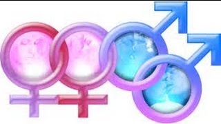 Are 36% Of Americans Bisexual?