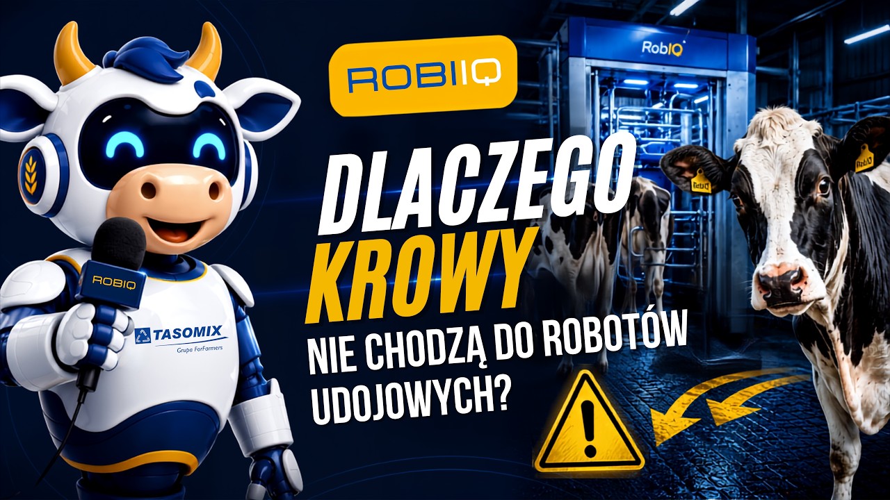 ROB-IQ - Dlaczego krowy nie chodzą do robota | Tasomix