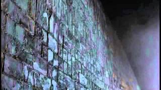 The Wall (Final Scene Loop)