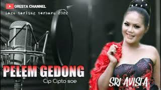 Pelem Gedong || SRI AVISTA || full music mp3