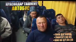 Тошкент Краснодар автобус билет нархлари 2024