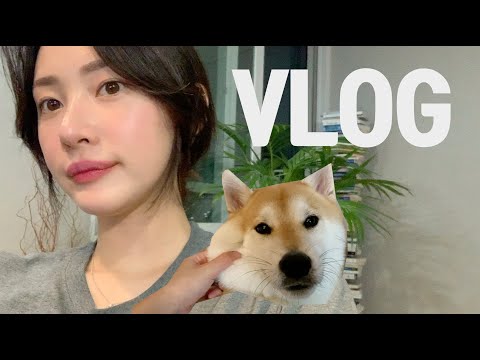 [브이로그-VLOG]가을 일상 브이로그(바쁜 일상/그래서 영상이 없어…/무뼈국물닭발♥️/단발 가을 컴백/비빔 밀면/대구 포항 경주 <strong>홍길동</strong>/조카들과 함께)