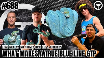 What Makes A TRUE Blue Line Green Tree Python | Trap Talk With MJ Live