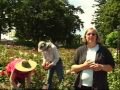 Garden Rose Park Expo